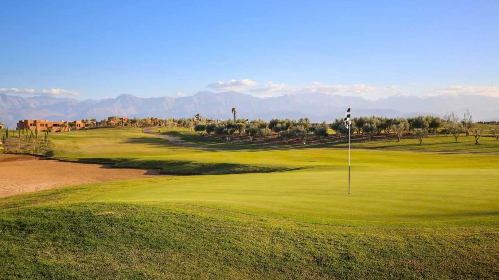 palm-golf-header